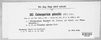 Coleosporium tussilaginis image